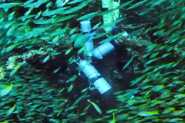 Rescue Diver Kurs - Werde ein sichererer und selbstbewussterer Taucher
