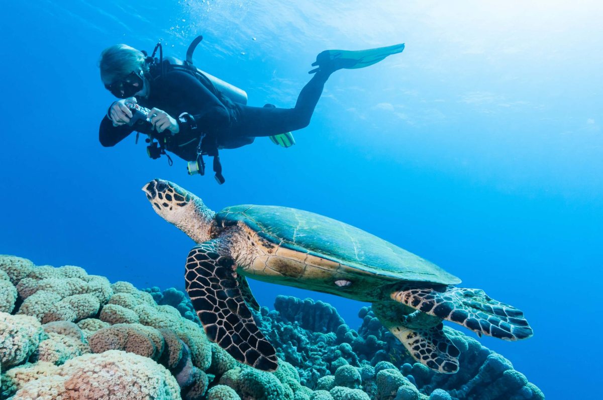 Open Water to Divemaster, Koh Chang, Thailand