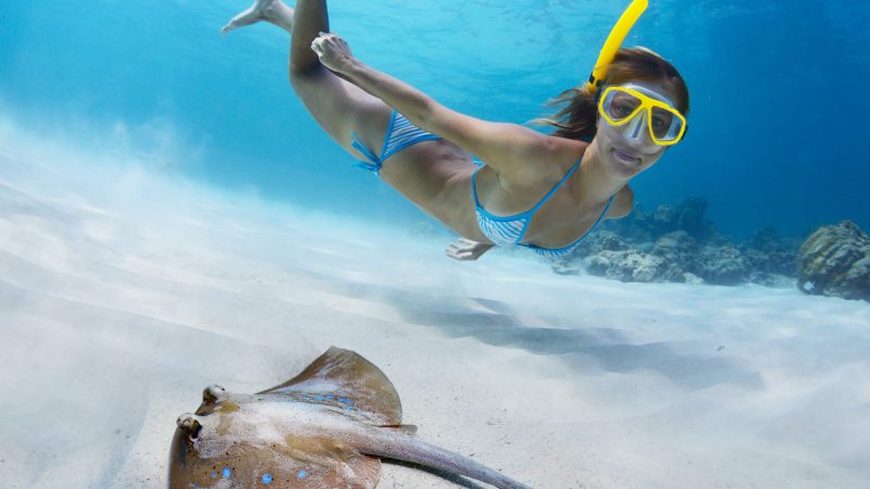 Snorkeling, Koh Chang, Thailand