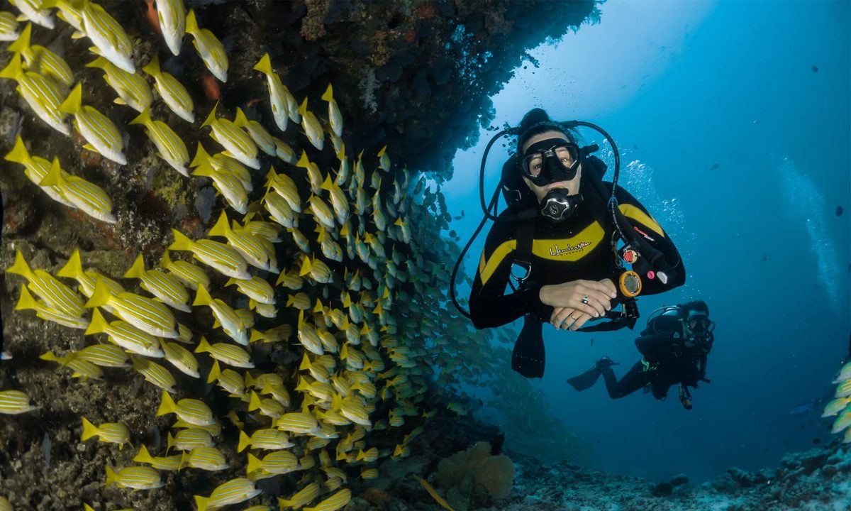 Open Water & Advanced Open Water Diver