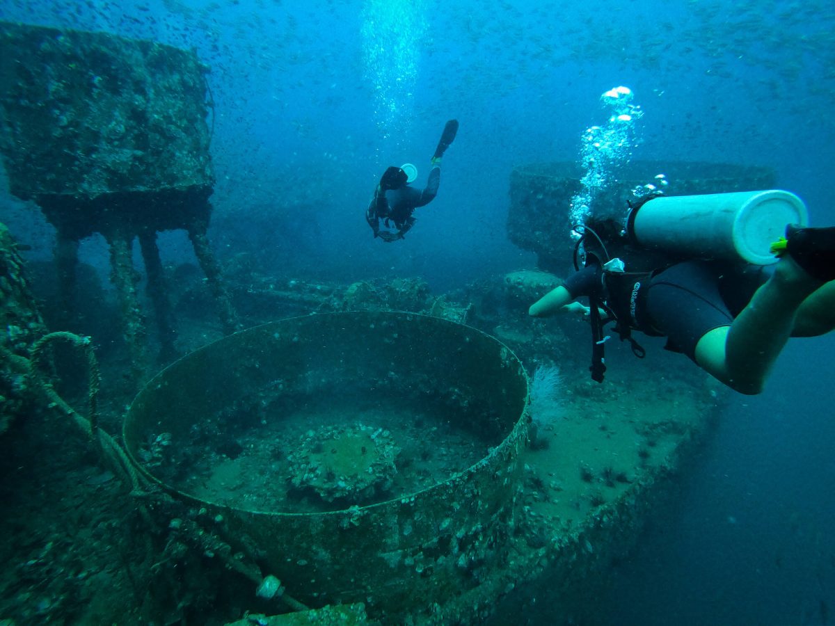 Geführte Fun Dives auf Koh Chang – Entdecke Thailands Unterwasserwelt – Bild 5