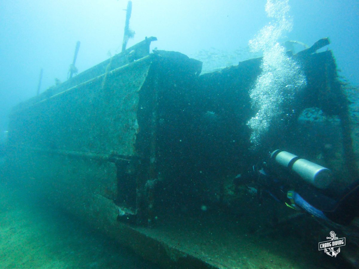 T11 Wreck koh Chang