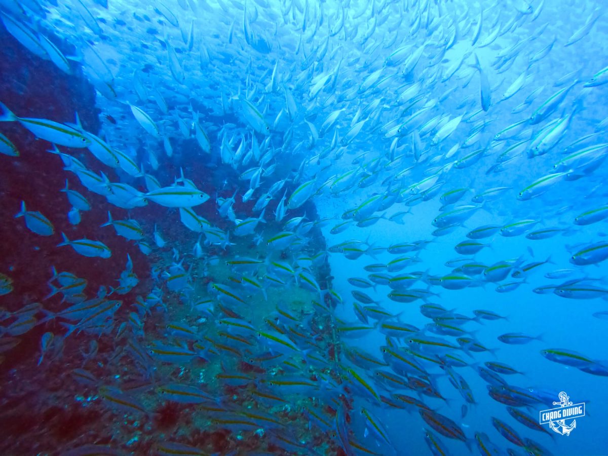 Wreck Diving Koh Chang Thailand