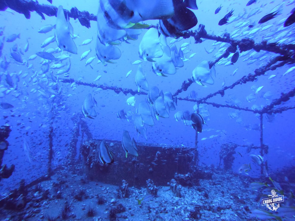 TDI ADVANCED WRECK DIVER