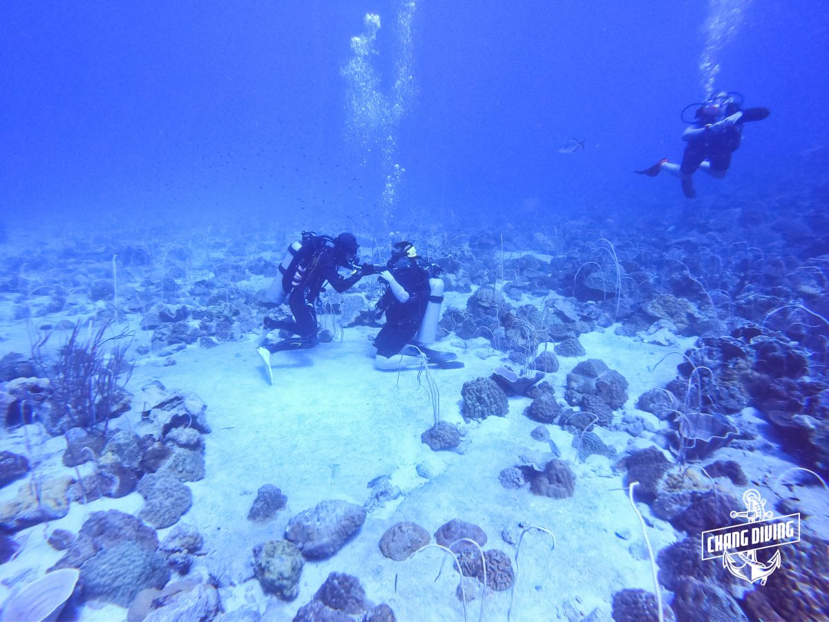 Try Diving at Koh Chang