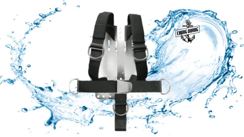APEKS Delux Harness