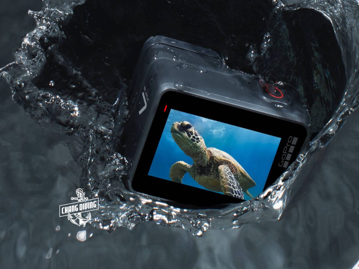 เช่า GoPro HERO 7 Black