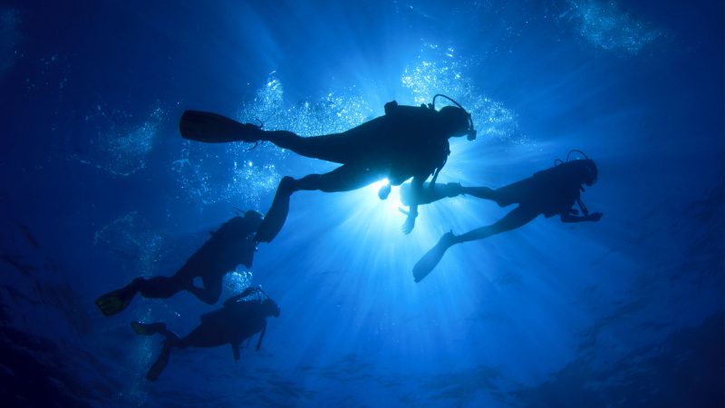 Night Dive at Koh Chang