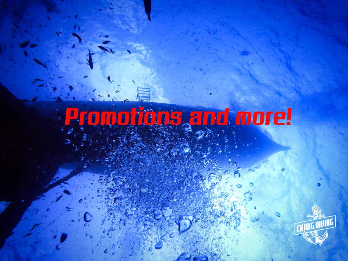 SCUBA Promotions