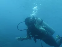 Freiwassertaucher umgeben von Chevron-Barrakudas und Yellowback-Fusilieren auf Koh Chang
